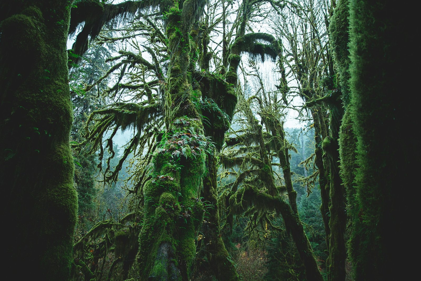 joshua-earle-kQgb340_cmk-unsplash